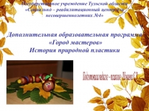 Презентация История природной пластики