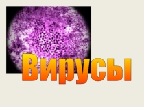 Презентация по биологии на тему Вирусы (11 класс)