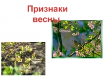 Презентация по развитию речи в на тему Признаки весны2 классе