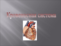 Презентация по окружающему миру на тему  Кровеносная система (4 класс)
