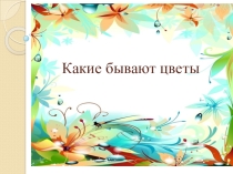 Презентация для дошкольников Цветы
