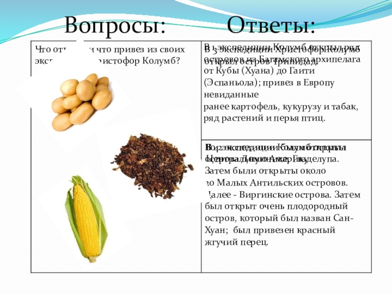Интерактивная карта: Открытие пути в Индию: Запад и Восток Вопросы:Ответы:В 1 экспедиции Колумб открыл ряд островов из Багамского архипелага от Вопросы:Ответы:В 1 экспедиции Колумб открыл ряд островов из Багамского архипелага от Кубы (Хуана) до Гаити (Эспаньола); привез