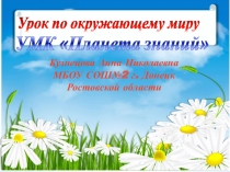 Презентация по окружающему миру на тему Деревья, кустарники, травы (1 класс)