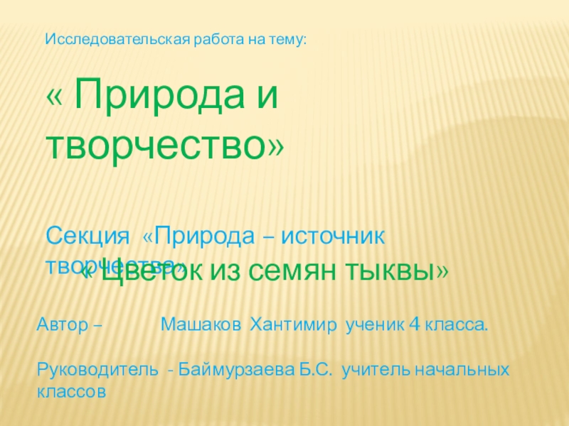 Поделки из природного материала