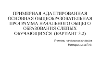 Презентация по теме АООП НОО 3.2