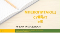 Презентация к уроку окружающего мира Сумчатые животные.