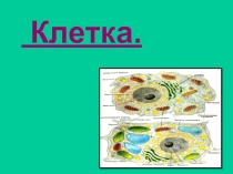 Урок на тему: Клетка
