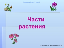 Презентация по окружающему миру Части растений