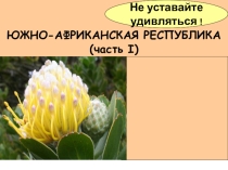 Презентация по географии на тему ЮЖНО-АФРИКАНСКАЯ РЕСПУБЛИКА ( 7 класс)