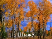 Презентация к уроку Золотая осень (4 класс)
