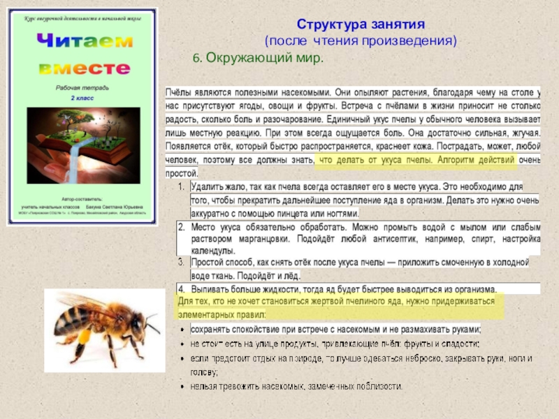 Доклад по теме: Авторская рабочая тетрадь по внеурочной деятельности как один из способов формирования читательской грамотности обучающихся младших классов для региональной видеоконференции Структура занятия(после чтения произведения)6. Окружающий мир. Структура занятия(после чтения произведения)6. Окружающий мир.