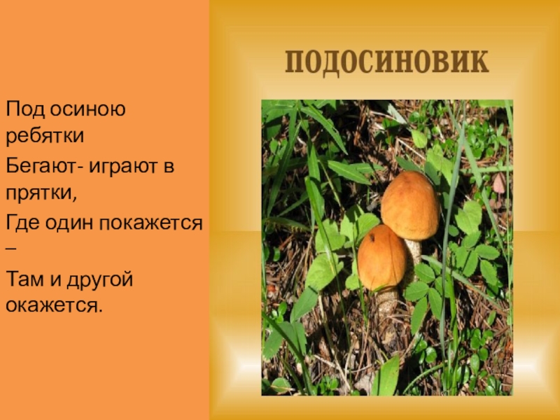Презентация к уроку по литературному чтению В.Д.Берестов Хитрые грибы Под осиною ребяткиБегают- играют в прятки,Где один покажется –Там и другой окажется. Под осиною ребяткиБегают- играют в прятки,Где один покажется –Там и другой окажется.