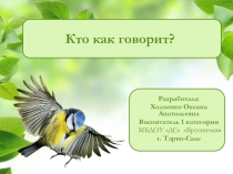Презентация по звукоподражанию Птички-синички
