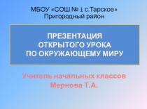 Презентация открытого урока по окружающему миру: Какие бывают животные?.