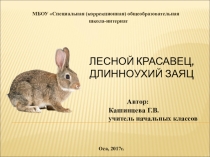 Презентация Лесной красавец, длинноухий заяц