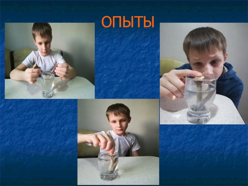 Проект Роль кальция в организме человека. Молочные продукты, как основные источники кальция ОПЫТЫ ОПЫТЫ