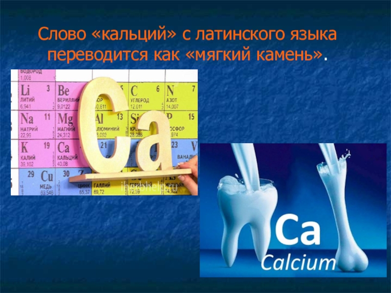 Проект Роль кальция в организме человека. Молочные продукты, как основные источники кальция Слово «кальций» с латинского языка переводится как «мягкий камень». Слово «кальций» с латинского языка переводится как «мягкий камень».