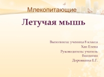 Презентация Млекопитающие. Летучая мышь