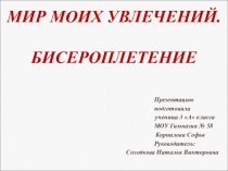 Презентация Мир моих увлечений