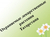 Охраняемые лекарственные растения Татарстана