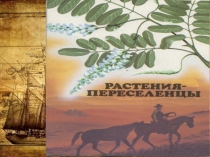 Презентация по биологии на тему Важнейшие сельскохозяйственные растения 6 класс