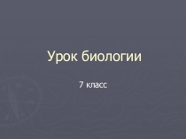 Презентация по биологии на тему Лишайники