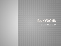 Презентация Выхухоль подготовлена ученицей 6А класса ОГБОУ Школа-интернат № 26 Бурляй Полиной