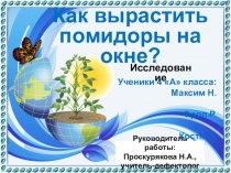 Детский проект- исследование Как вырастить помидоры на окне(4 класс, учащиеся с нарушением слуха)