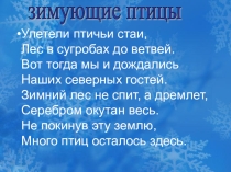 Акция Помогите птицам зимой