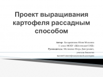 Проект выращивания картофеля рассадным способом