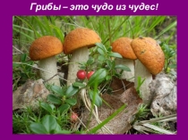 Презентация по окружающему миру на тему Грибы (3 класс)