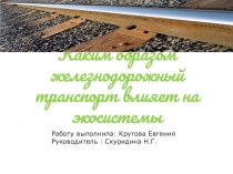 Презентация.Влияние железнодорожного транспорта на экосистемы