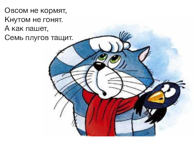 Презентация Знакомство детей с деревней Овсом не кормят,Кнутом не гонят.А как пашет,Семь плугов тащит. Овсом не кормят,Кнутом не гонят.А как пашет,Семь плугов тащит.