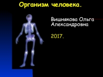 Презентация  Организм человека