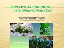 Презентация к классному часу Берегите первоцветы - украшение планеты! (6-9 классы)