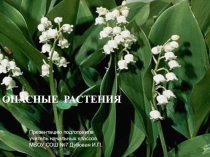 Презентация по окружающему миру на тему Лесные опасности (2 класс)