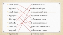 Презентация по английскому языку на тему Животные могут... (3 класс)