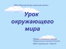 Презентация к уроку окружающего мира в 4 классе по теме: Возникновение Москвы