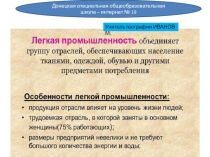 Конспект урока на тему Лёгкая промышленность