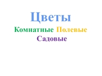 Презентация по лексической теме Цветы