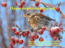 Презентация Наши пернатые друзья старшая группа