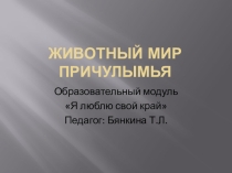 Презентация к занятию Животный мир Причулымья к образовательному модулю Я люблю свой край