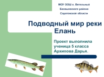 Презентация по географии Подводный мир реки Елань (Творческий проект ученицы 5 класса )