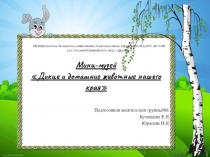 Мини-музей  Дикие и домашние животные нашего края