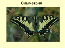 Презинтация по изобразительному искусству на тему Симметрия