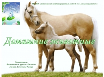 Презентация по теме Домашние животные и их детёныши