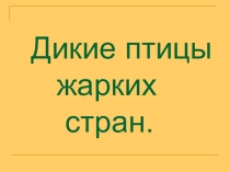 Презентация Дикие птицы жарких стран