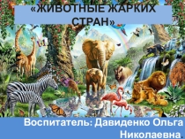 Животные жарких стран