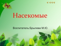 Насекомые