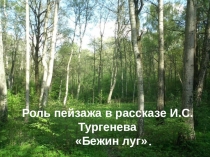 Роль природы в рассказе Бежин луг